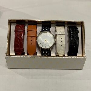 Elegant Multi-Color Women's Watch Set
